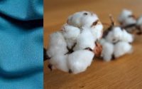 Cotton Vs Polyester