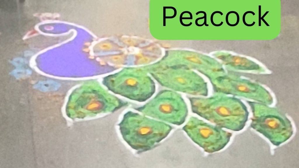 Simple Peacock Rangoli Design