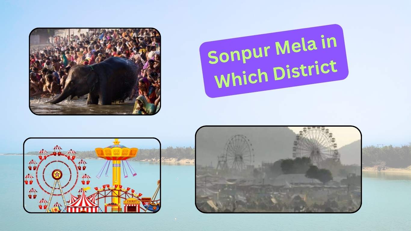 Sonpur Mela in Which District