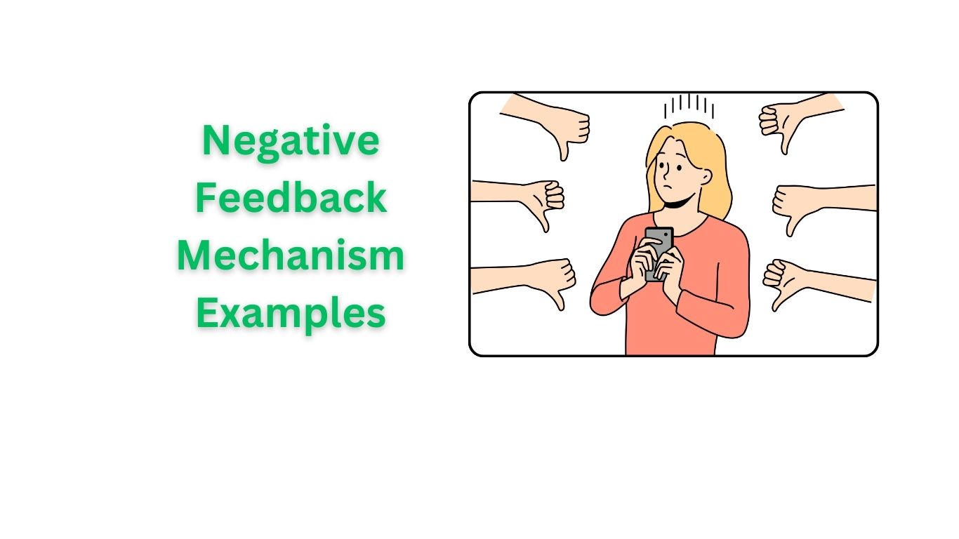 Negative feedback mechanism examples