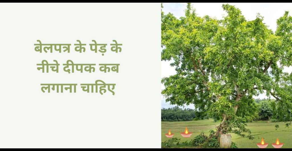बेलपत्र के पेड़ के नीचे दीपक कब लगाना चाहिए