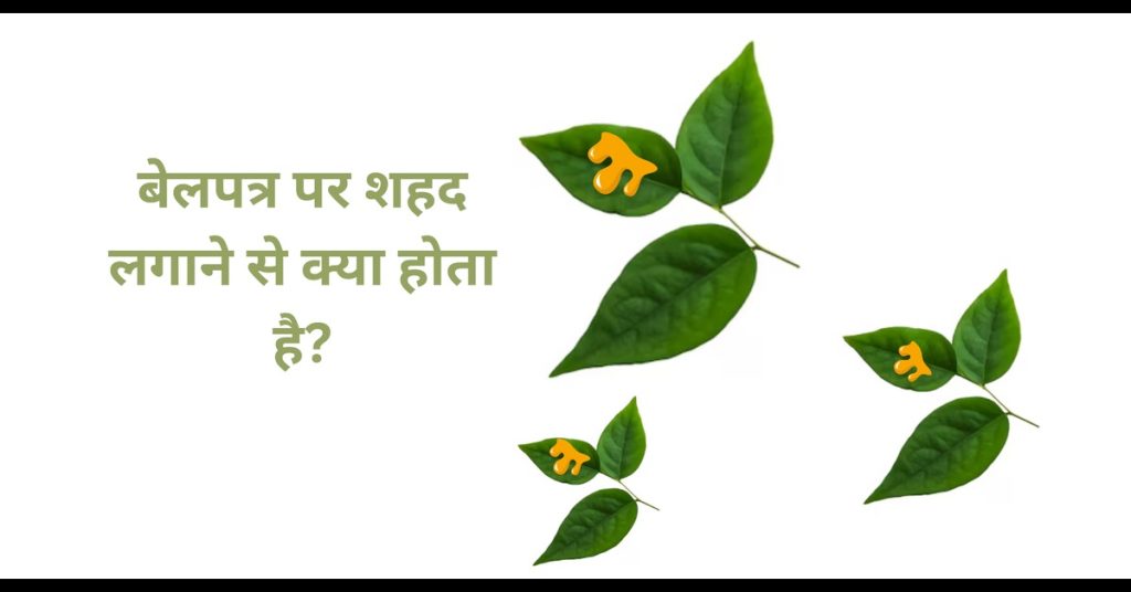 बेलपत्र पर शहद लगाने से क्या होता है