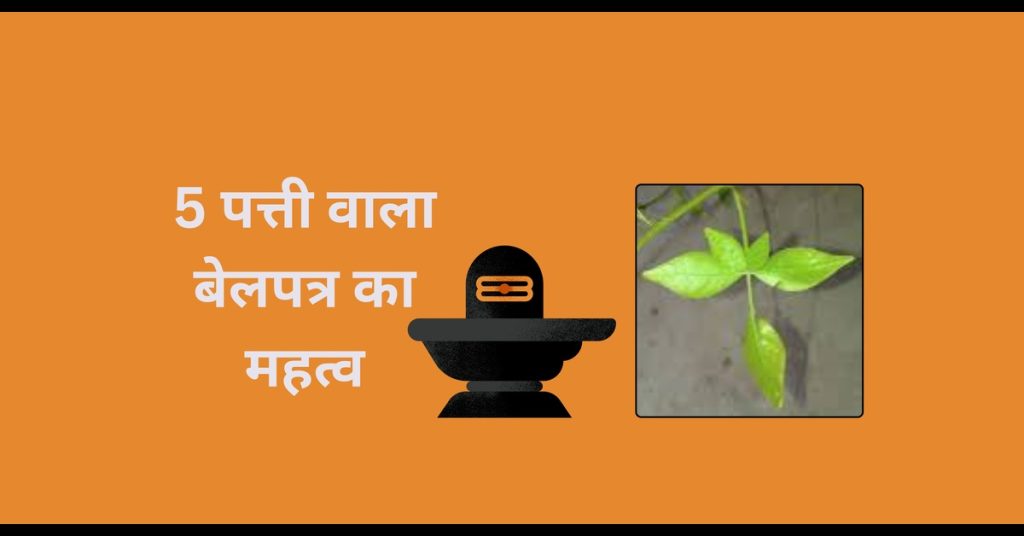 5 पत्ती वाला बेलपत्र