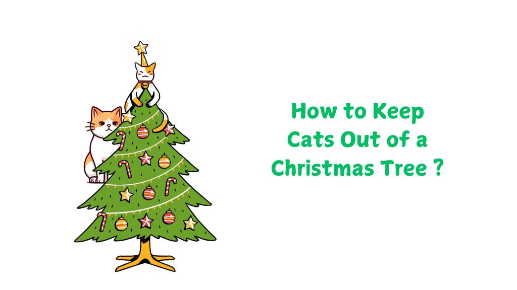 How to Keep Cats Out of a Christmas Tree